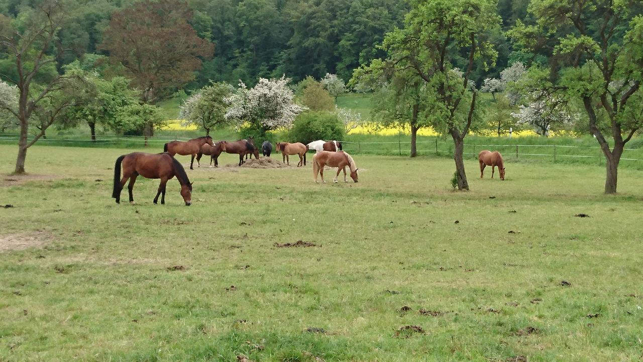 Ferienhaus Vom Bahratal Hausen  Zewnętrze zdjęcie